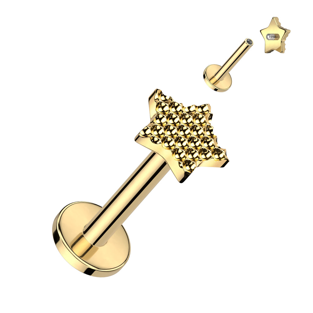 16G Titanium Internally Threaded Labret W/ Bumped Cut Star Top
